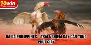 đá gà philippines
