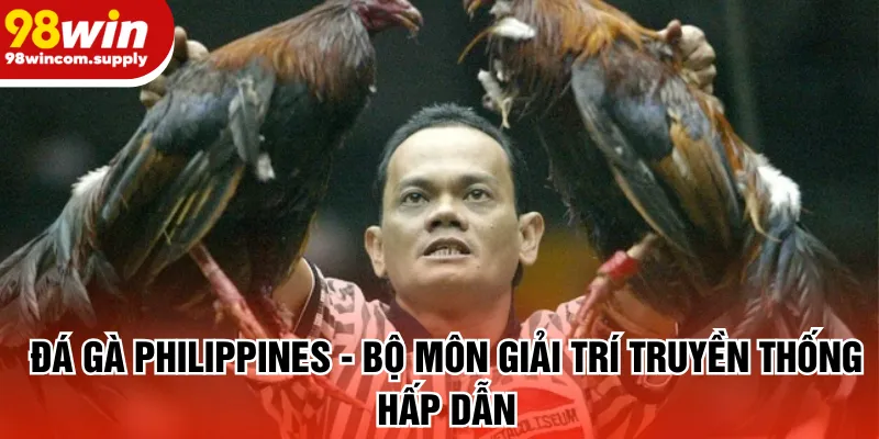 Đá gà Philippines - Bộ môn giải trí truyền thống hấp dẫn