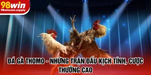 đá gà thomo