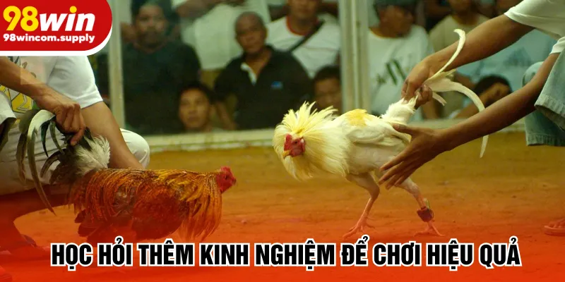 Học hỏi thêm kinh nghiệm để chơi hiệu quả